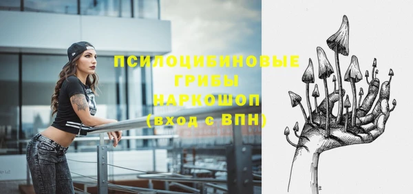 круглые Алзамай