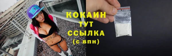 ECSTASY Армянск