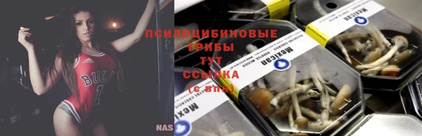 герыч Алексин