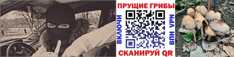 Галлюциногенные грибы MAGIC MUSHROOMS  Красный Кут 